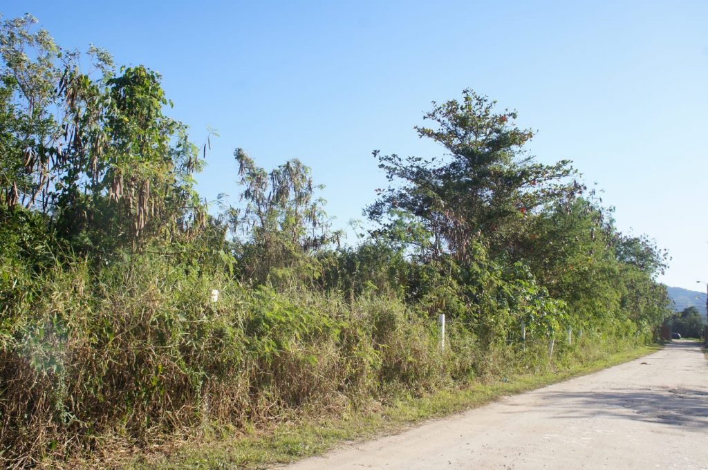 RECREIO, TERRENO PARA INVESTIDOR, 10.045M2